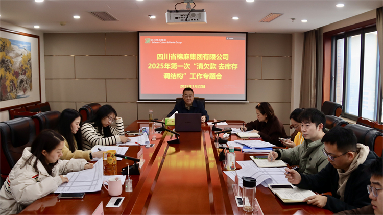 集團公司召開2025年第一次“清欠款、去庫存、調結構”工作專題會